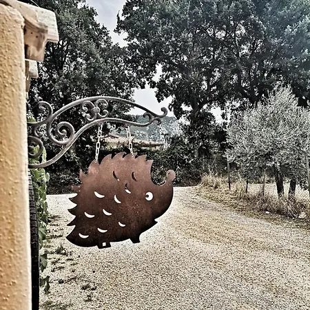 Il Rifugio Del Riccio Apartment